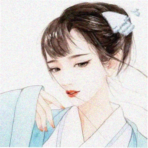 二次元老司机